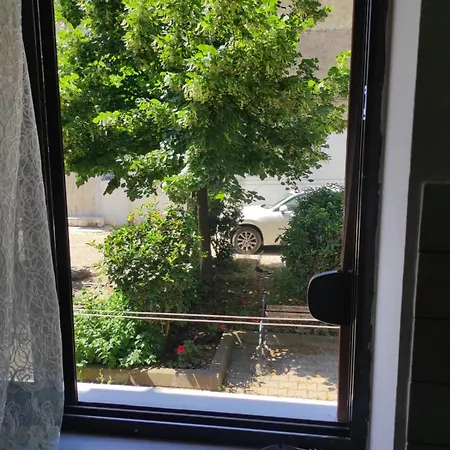 Ground-floor Near Center Lejlighed Tirana